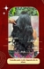 Brasileiro (65cm/180g) ILUMINADO - comprar online