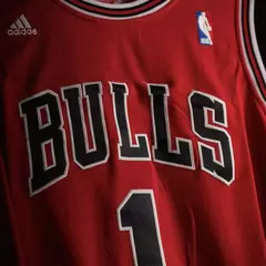 Camiseta Chicago Bulls - Derrick Rose #1 - comprar online