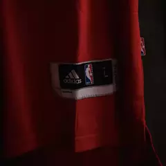 Camiseta Chicago Bulls - Derrick Rose #1 - tienda online