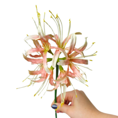 Lírio-aranha rosa claro permanente artificial
