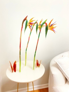 Estrelítzia-de-lança permanente artificial toque real flor permanente no vaso tubo de vidro