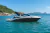 FOCKER 272 GTC