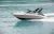 FOCKER 272 GTC - comprar online