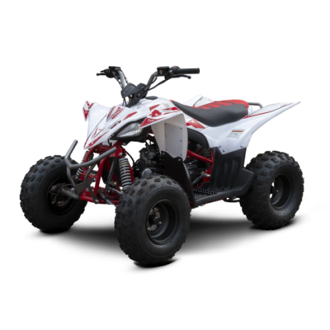 Mini Quadriciclo Fun Motors- Alphacross 125 Ex na internet