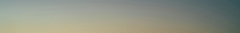 Banner de la categoría PILUSOS
