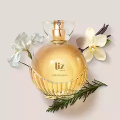Liz Desodorante Colônia 100ml na internet