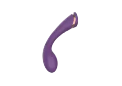SECWELL CONSOLADOR ESTIMULADOR DE PUNTO G O PUNTO P VIBRADOR 10 VELOCIDADES RECARGABLE BUMP ORGASM SW3045 - LENCERIA TUCUMAN