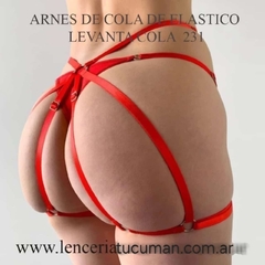 LUCIA ARNES DE COLA DE ELASTICO LEVANTA COLA ROJO 231R