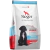 Sieger | Puppy Medium & Large