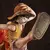 Portrait Of Pirates - One Piece - Monkey D. Luffy - Portgas D. Ace - Kyoudai no Kizuna, 20th LIMITED Ver.