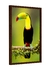 Tucano preto e amarelo - Club Arts | Galeria Online