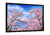 Primavera japonesa - loja online