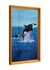 Imagem do Dança das orcas
