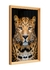 Olhos do leopardo