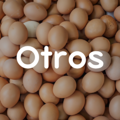 Banner de la categoría Otros