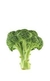 Brocoli x UNIDAD