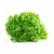 Lechuga Crespa (unidad) - comprar online