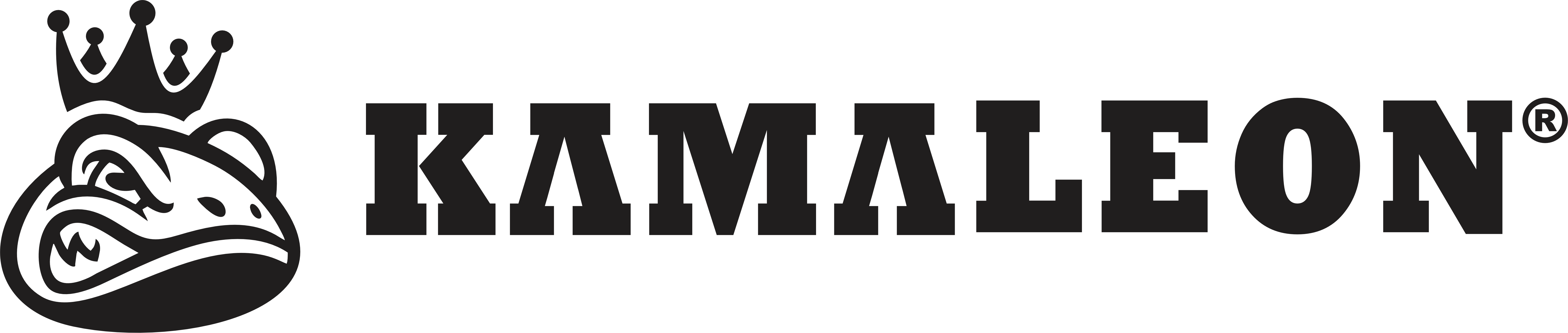 Kamaleon Store