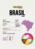 Café de especialidad Brasil Arara en internet