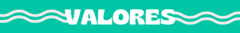 Banner de la categoría VALORES