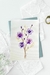 Aquarela Viola Flys