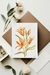 Aquarela Lily Arancia