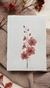 Aquarela Orchidea