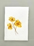 Aquarela Giallo Felicità - comprar online