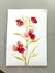 Aquarela Rosea Orchid - comprar online