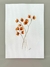 Aquarela Delicacy - comprar online