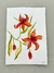 Aquarela Lírios Flori - comprar online