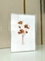 Aquarela Florência - comprar online