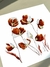 Aquarela Ravena - comprar online