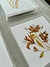 Aquarela Verona - Roccia Atelier
