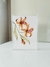 Aquarela Fior d’Ambra - comprar online