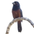 Oversized T-Shirt - Chestnut-bellied Seed-Finch-02F - buy online