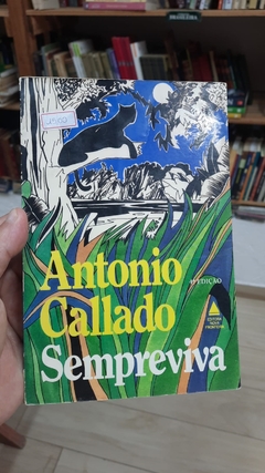 Sempre Viva - Autor: Antonio Callado (1981) [usado]