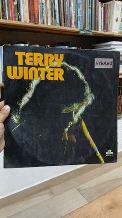 Disco Vinil - Interprete: Terry Winter (1980) [usado]