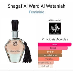 Shagaf Al Ward Al Wataniah na internet