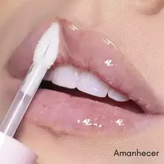 Imagem do Gloss labial Dride