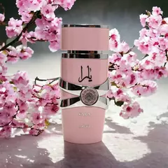 Yara Lattafa - comprar online