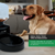 Comedero Automático Digital Gadnic® para Mascotas | Programable y Recargable | Negro - NovaNexus