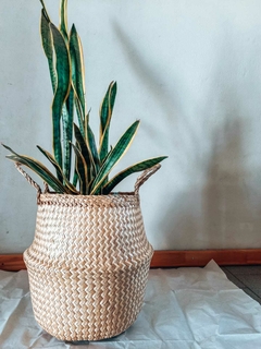 Banner de la categoría Cestos