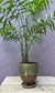 Maceta cilindro alto c/patitas verde - comprar online