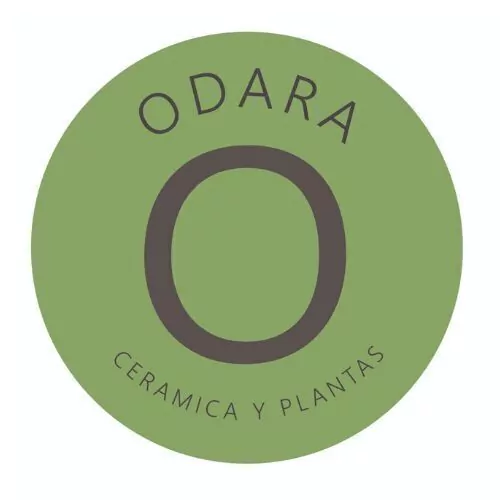 Odara-cerámica y plantas