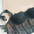Corset Carol bordado en internet