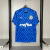 Camisa do Palmeiras 24/25 - Modelo Goleiro Masculino