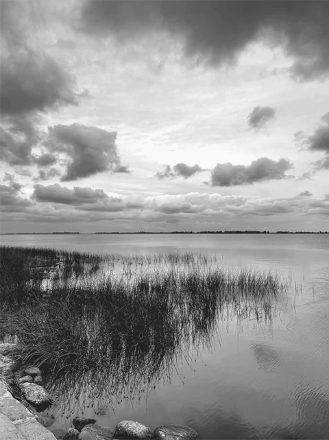 REFLEJOS (25 x31,5 cm) - comprar online