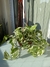 Potus variegado - comprar online