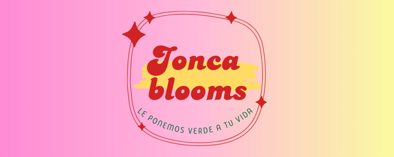 Jonca blooms